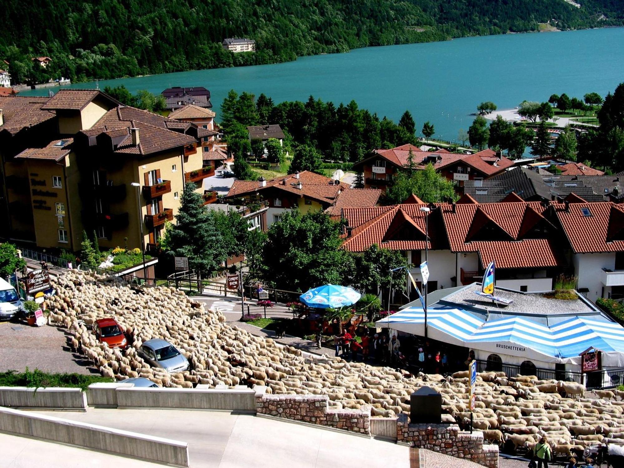 Albergo Stella Alpina Molveno Εξωτερικό φωτογραφία